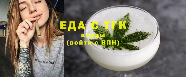 индика Осинники