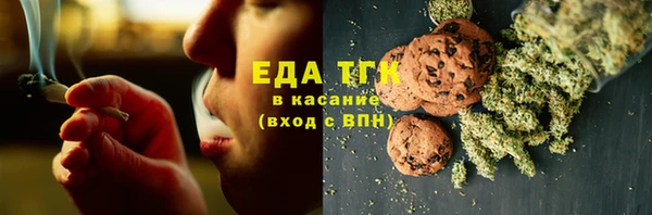 индика Осинники