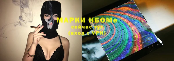 индика Осинники