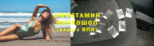индика Осинники