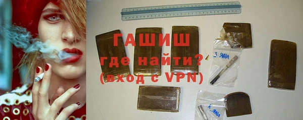 индика Осинники