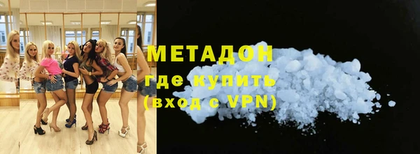 индика Осинники