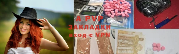 индика Осинники