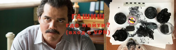 индика Осинники