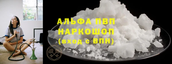 индика Осинники