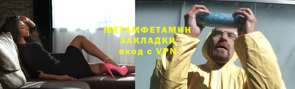 индика Осинники