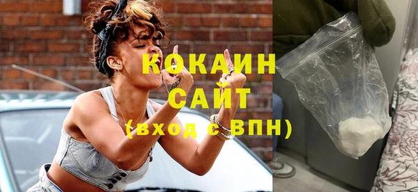 индика Осинники