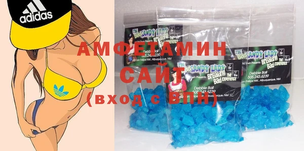индика Осинники