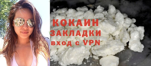 индика Осинники