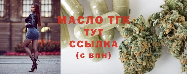 индика Осинники