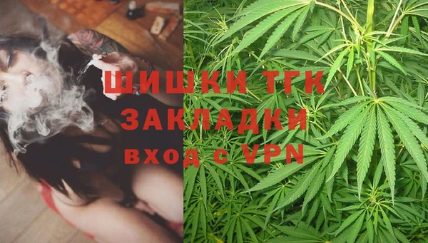 индика Осинники
