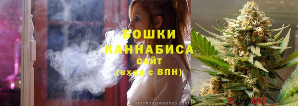 индика Осинники