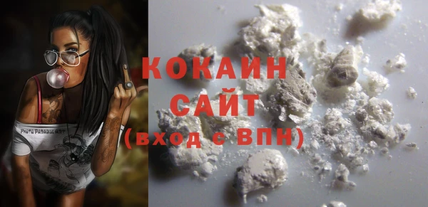 индика Осинники