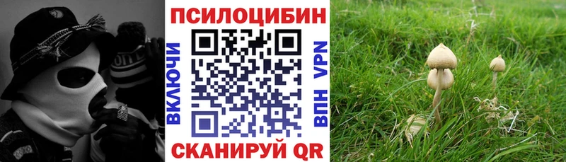 Псилоцибиновые грибы Psilocybe Чишмы